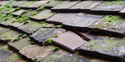 Broxted roof repair costs